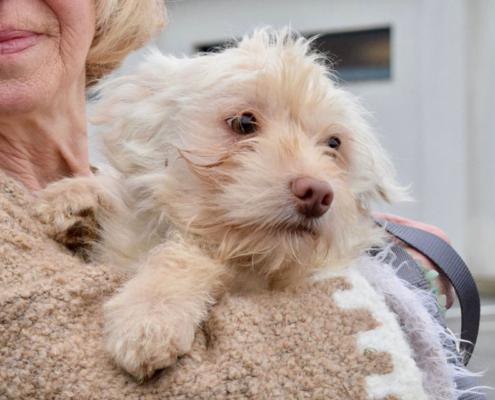 WhatsApp-Image-2026-03-02-at-09.12.47