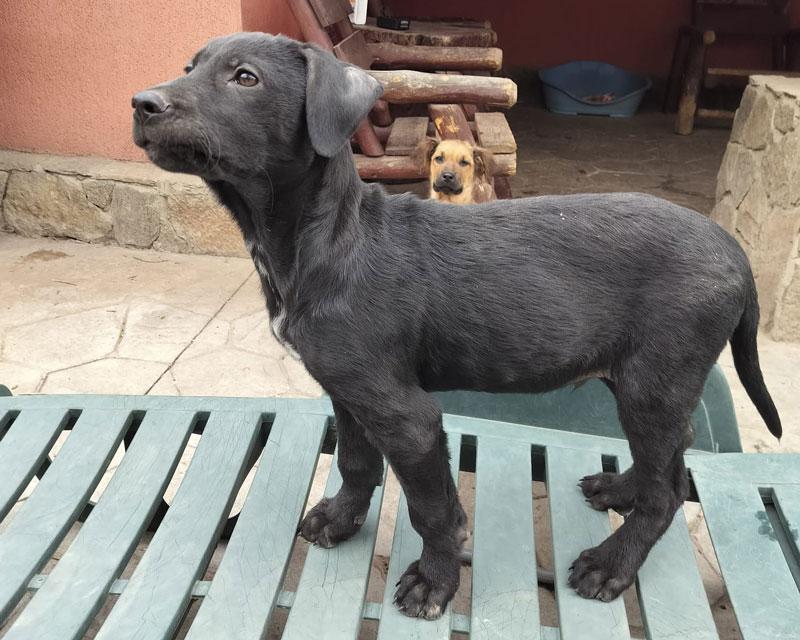 WhatsApp-Image-2026-04-09-at-18.01.01